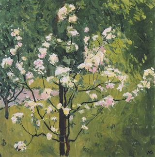 Spring Blossoms