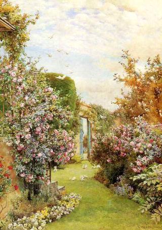 Garden With China Roses