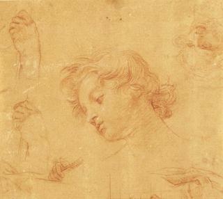 Studies of a Boy's Head, Hands and Face