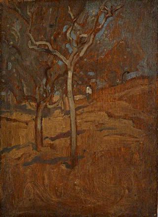 Assisi Woodland
