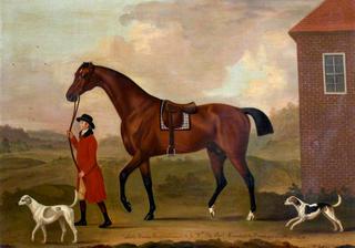 Little Hero (a Hunter), Belonging to Sir John William De la Pole