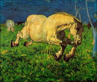 Cavallo al galoppo