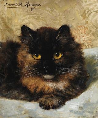 a little kitten
