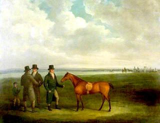 Racehorse with Trainers