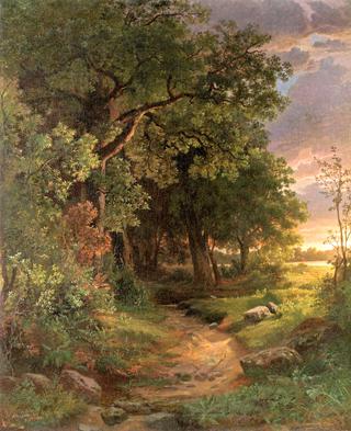 Woodland Interior