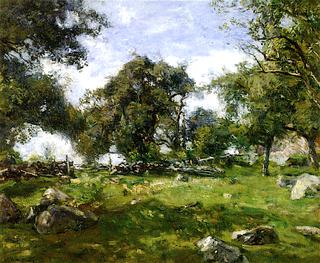 The Old Pasture