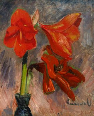Still life with Amaryllis