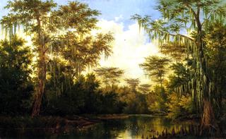 Water Lilies and Spanish Moss