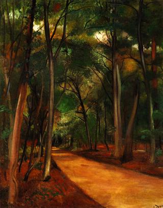 Path in Fountainebleau Forest