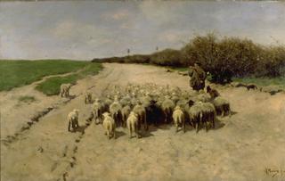 Return of the Flock