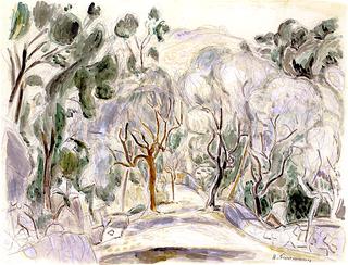 Olive Grove near Lacco Ameno