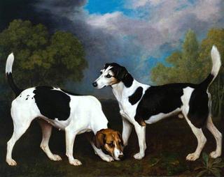 A Couple of Foxhounds