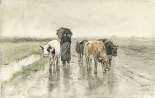 A Herdess with Cows on a Country Road in the Rain