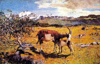 Alpe di Maggio