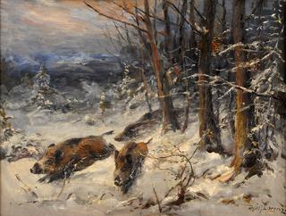 Wild Boar in Winter Forest