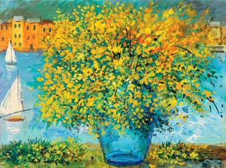 Mimosa