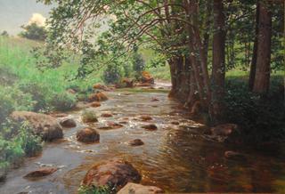 The Stream
