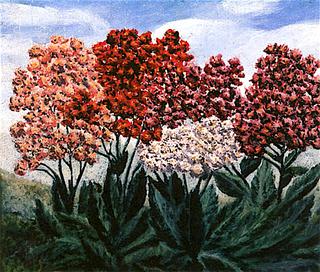 Pink and Red Flowers