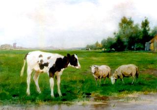 Calf and sheep