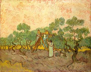 Women Picking Olives
