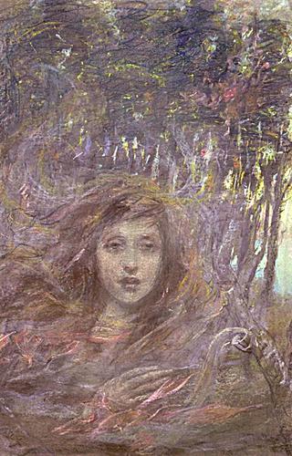 Vision through Woods