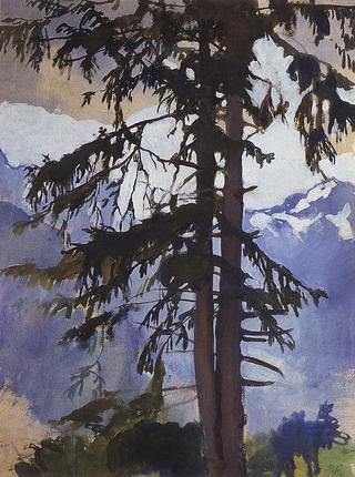 Fir Tree