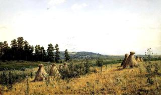 Landscape in the Polesie