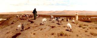 Desert Pasture