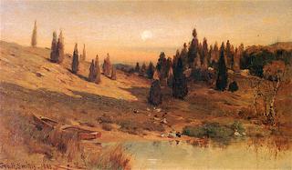 Evening among the Cedars