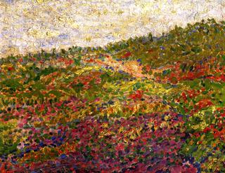 Field of Flowers