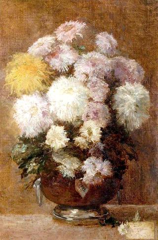 菊花