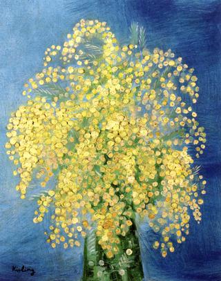 Vase of Mimosas