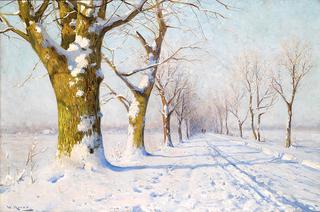 A Sunny Winter's Day