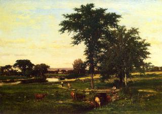 Midsummer