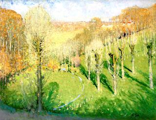 Meadow with Trees