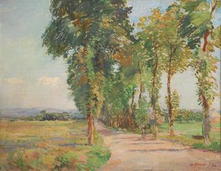 Tree lined drive in Sunshine