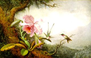 Hummingbirds and Orchids