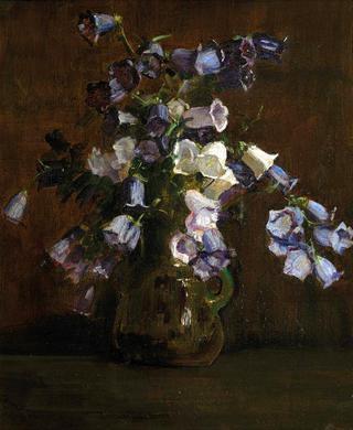 Canterbury Bells, Purple And White