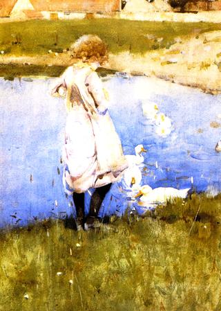 The Duckpond