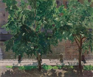 Study of Trees