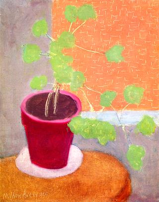 Geranium