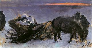 Gertruda Komorowska in the sleigh