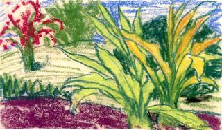 Landscape with Tropical Plants