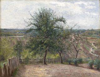 Apple Tree in Bloom