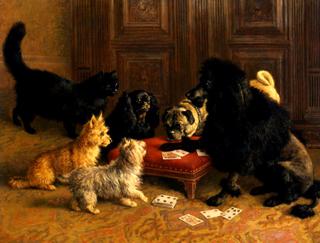 The Card Game