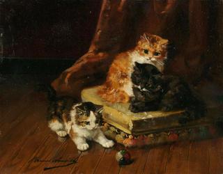 kittens