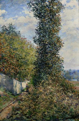Path with Trees
