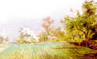 Spring Landscape