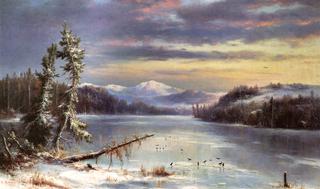 Snowy Landscape