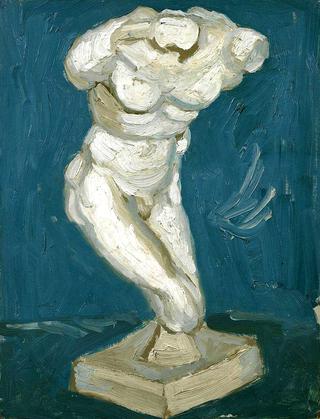 Male Torso